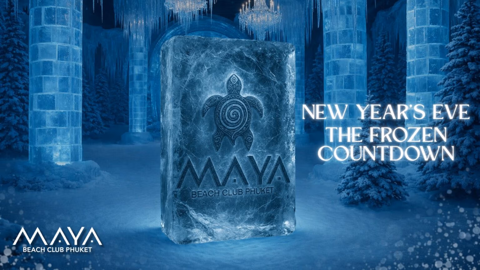 WhatsApp Image 2025-12-22 at 15.59.58